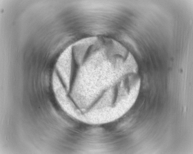 X0000088660210200706221643