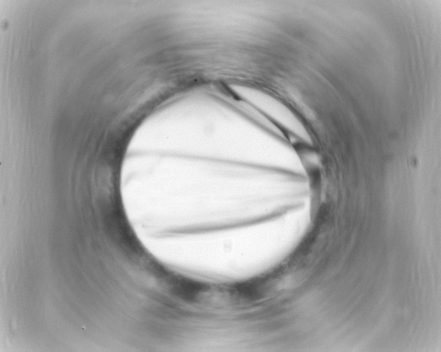 X0000088660211200706221643