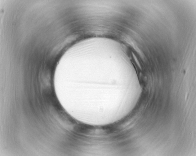 X0000088660212200706221643