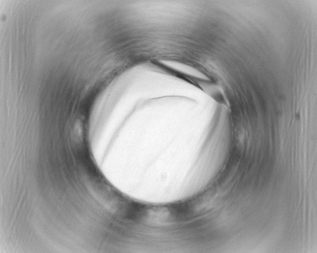 X0000088660214200706221643