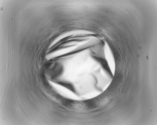 X0000088660215200706221643
