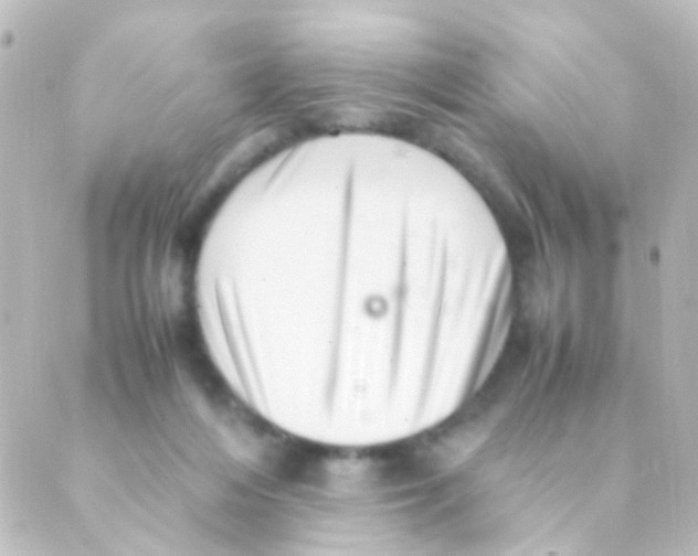 X0000088660216200706221643
