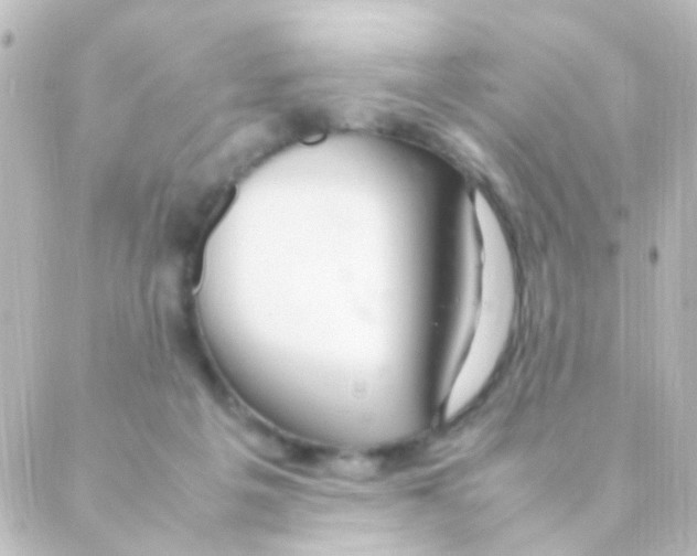 X0000088660217200706221643