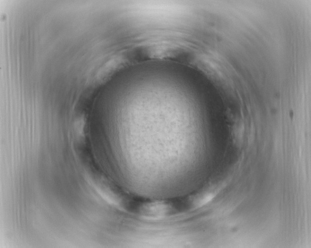 X0000088660219200706221643