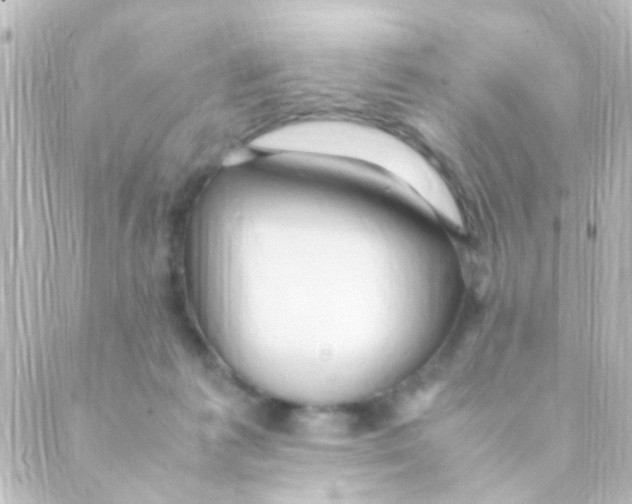 X0000088660221200706221643