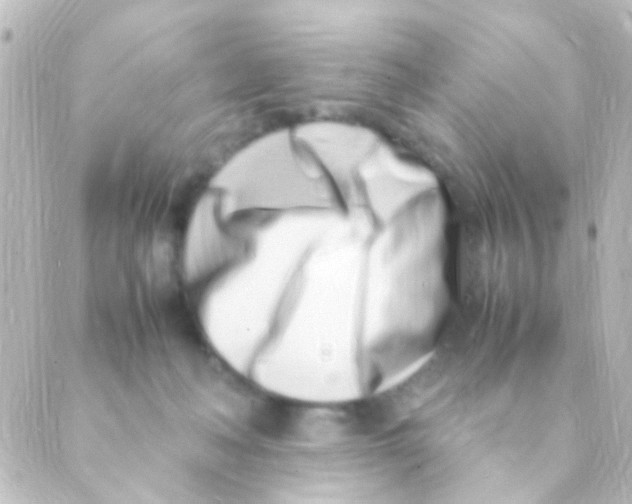 X0000088660222200706221643