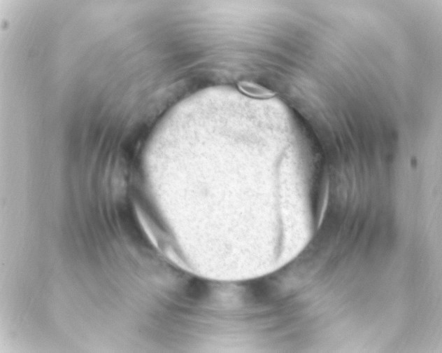 X0000088660226200706221643