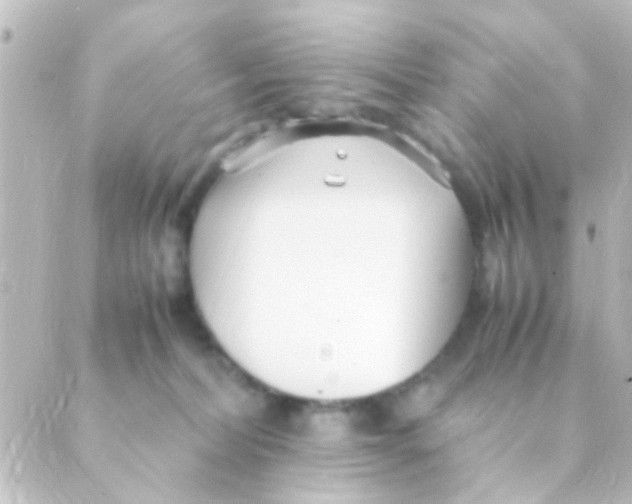 X0000088660228200706221643