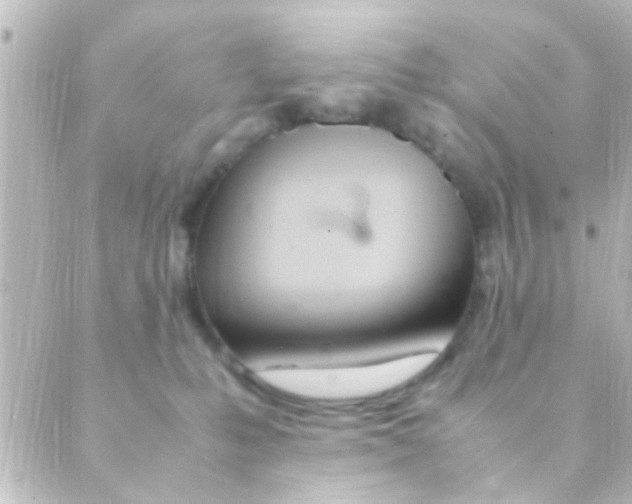 X0000088660231200706221643