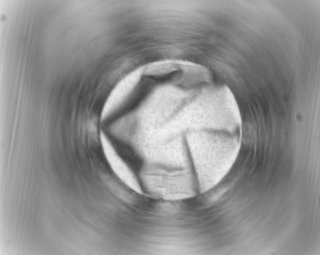 X0000088660238200706221643