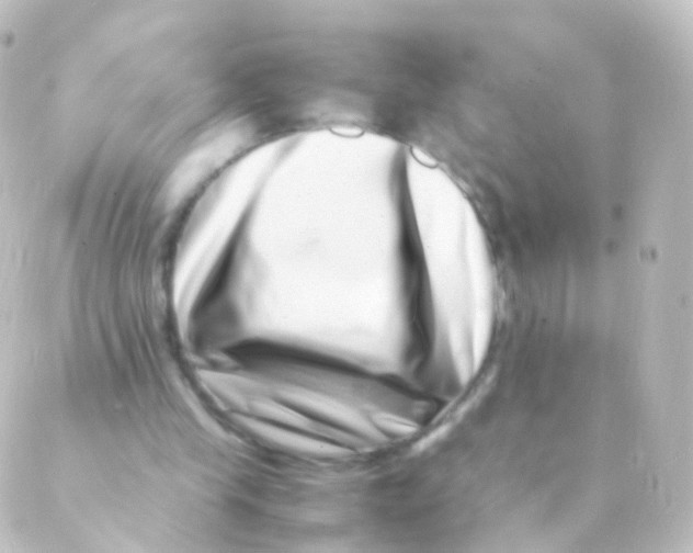 X0000088660245200706221642