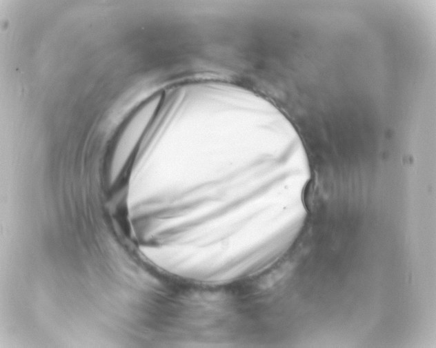 X0000088660247200706221642