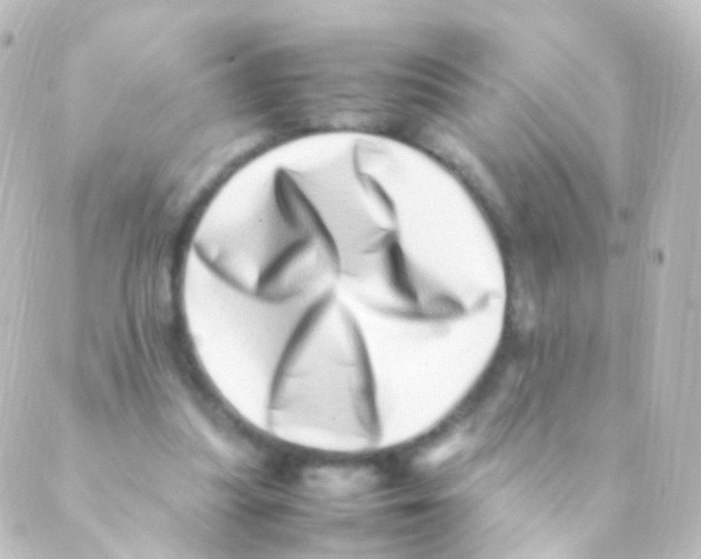 X0000088660251200706221642