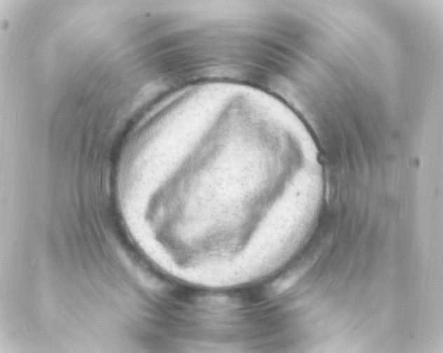 X0000088660253200706221642