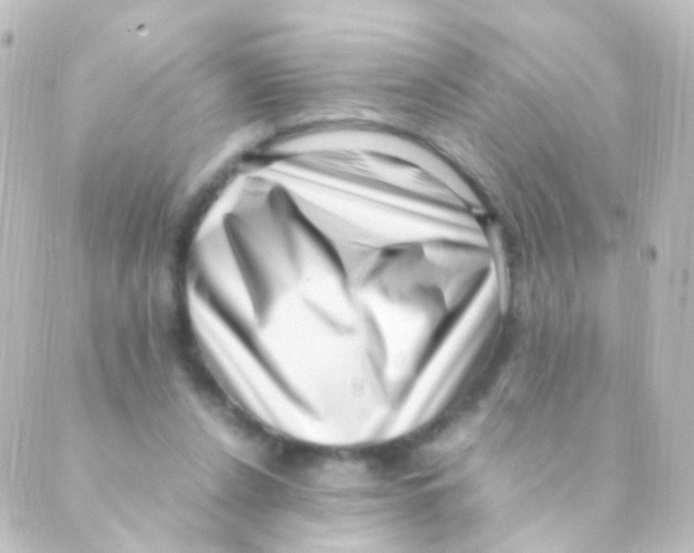 X0000088660256200706221642