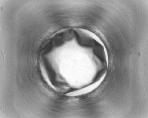 X0000088660257200706221642