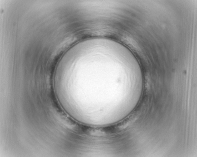 X0000088660258200706221642