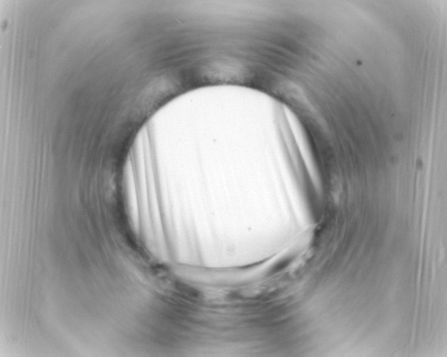 X0000088660259200706221642