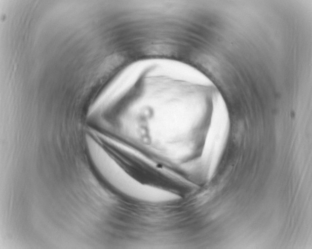 X0000088660261200706221642