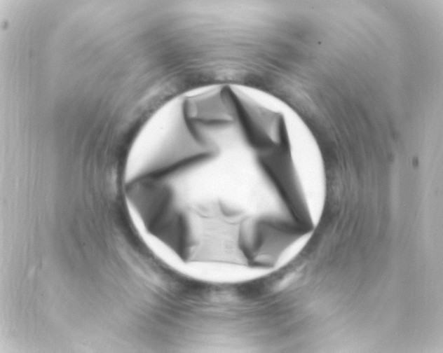 X0000088660262200706221642