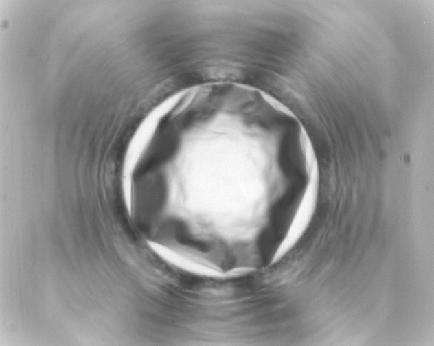 X0000088660263200706221642