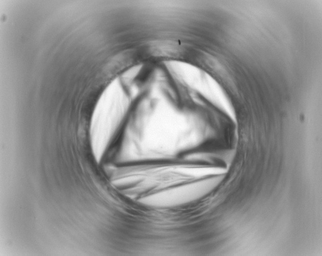 X0000088660265200706221643