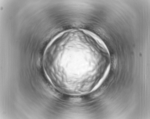 X0000088660266200706221643