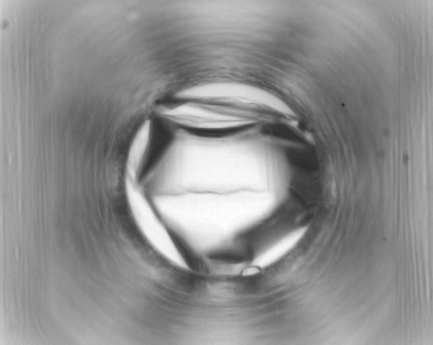 X0000088660268200706221643