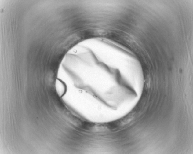 X0000088660270200706221643