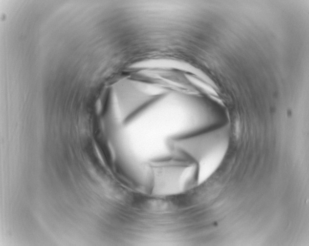 X0000088660272200706221643