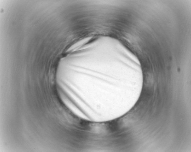 X0000088660273200706221643