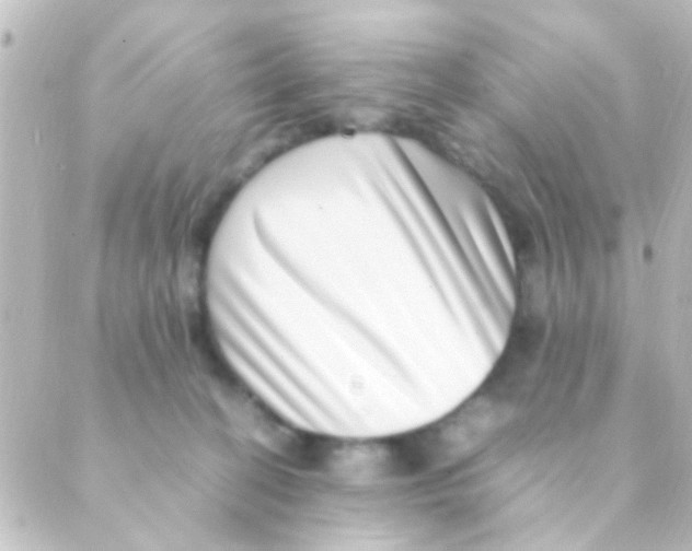 X0000088660274200706221643
