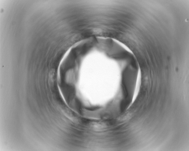 X0000088660275200706221643