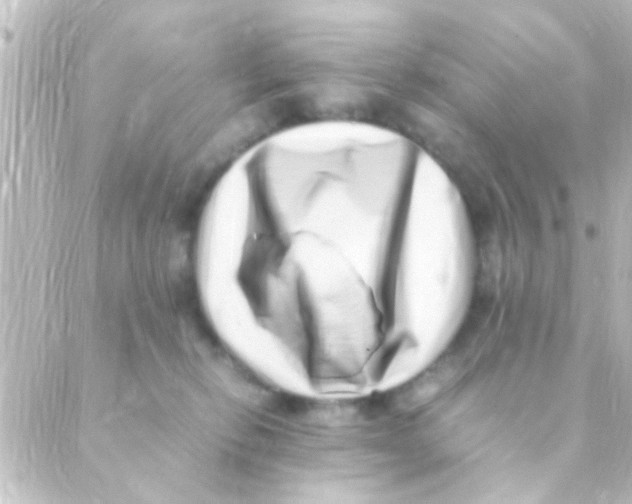 X0000088660278200706221643
