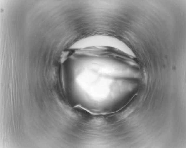 X0000088660280200706221643