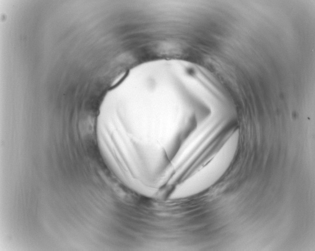 X0000088660281200706221643