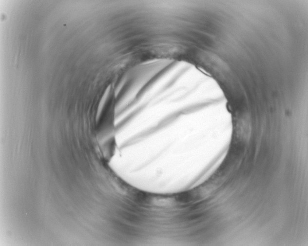 X0000088660283200706221643