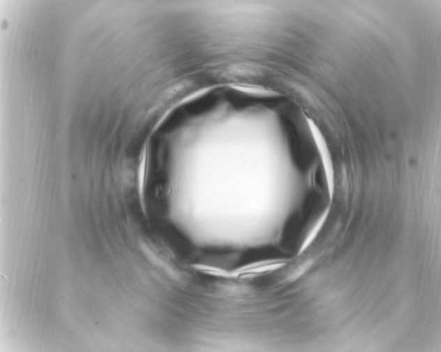X0000088660284200706221643