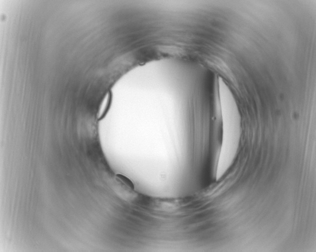 X0000088660285200706221643