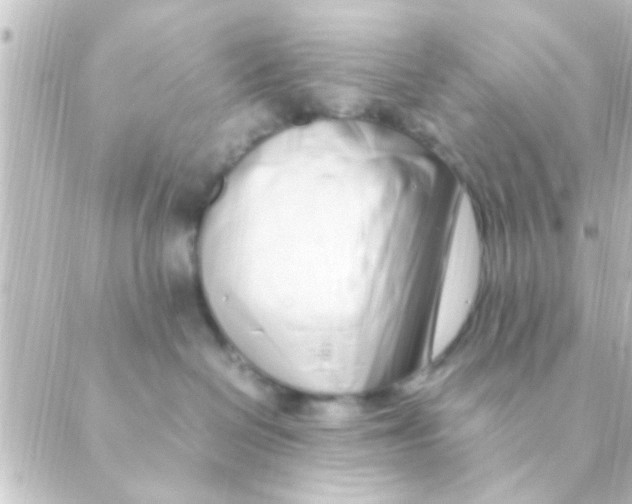 X0000088660286200706221643