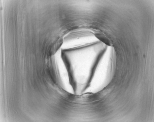 X0000088660288200706221643