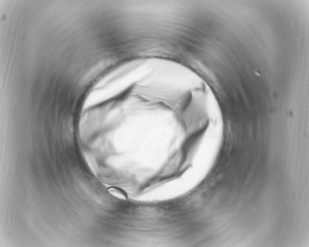 X0000088660298200706221642