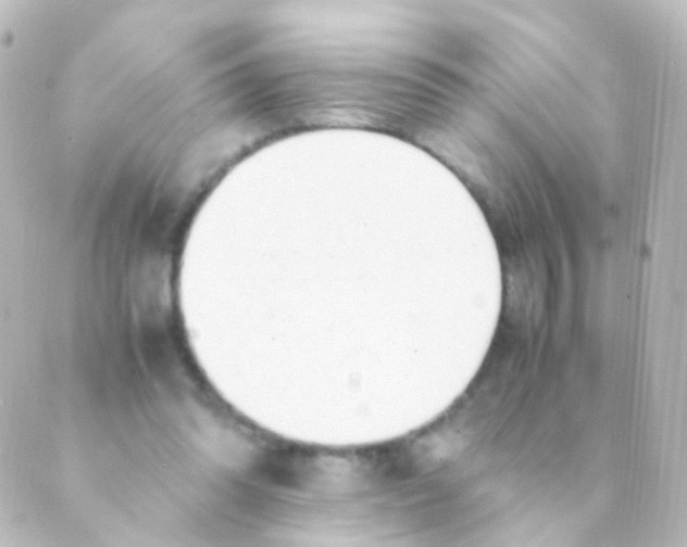 X0000088660302200706221642