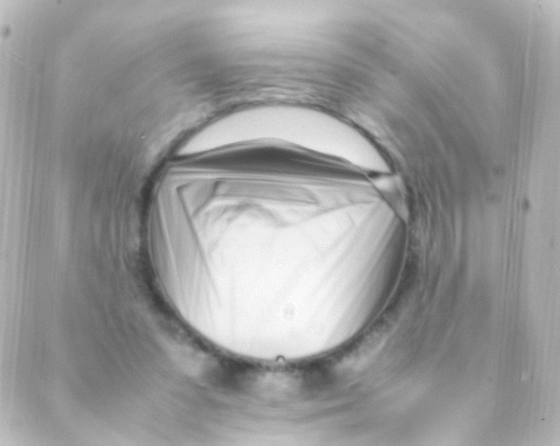 X0000088660303200706221642