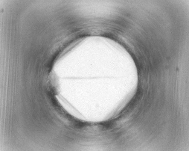 X0000088660307200706221642
