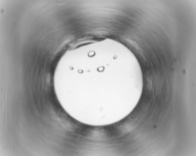 X0000088660308200706221642
