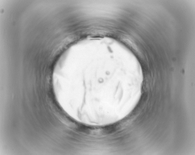 X0000088660309200706221642