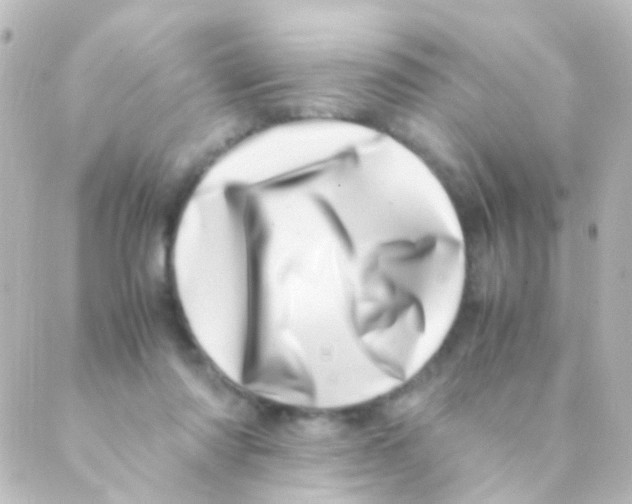 X0000088660310200706221642