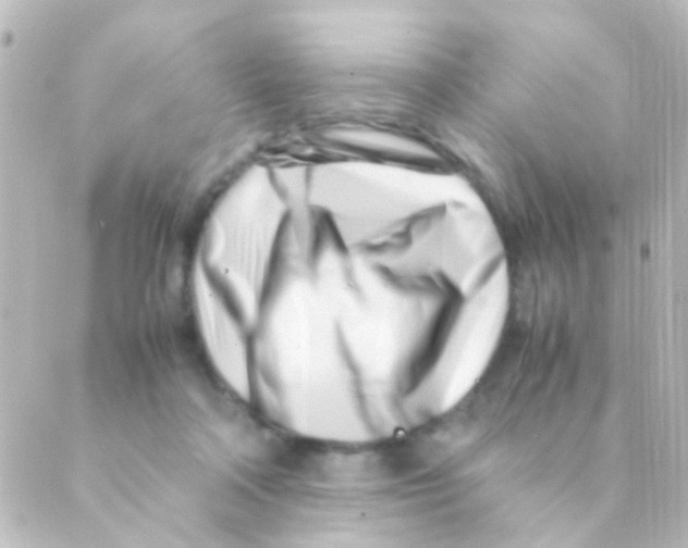 X0000088660314200706221642