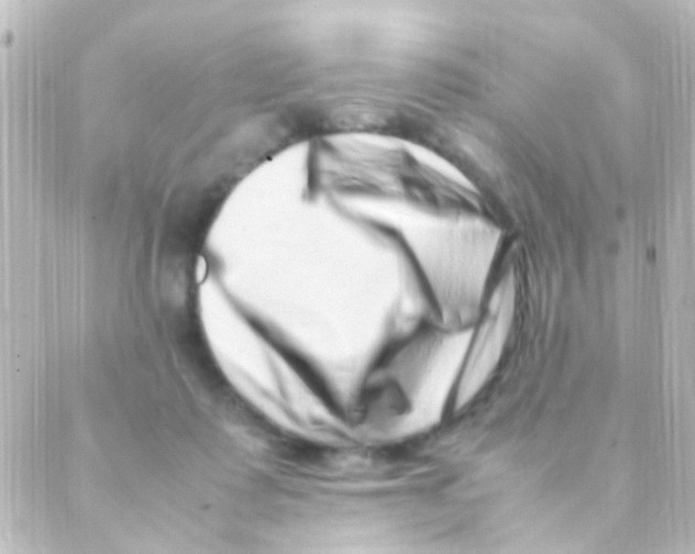 X0000088660315200706221642